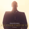 Snoop Dogg Another Part of Me (ft. Sting) [Official Audio] 0 11 screenshot