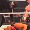 Travis Scott Reportedly Injures WWE Champion Cody Rhodes at Elimination Chamber Event